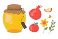 Set of honey products. Jar of honey and bee insect. Textured flower with leaf and fruit in flat style. Garnet and apple on