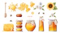 Set of honey products: jar of honey, honeycombs. Sunflower flowers, daisies. Bees and honey spoon. Suitable for honey