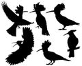 Set of silhouettes of hoopoe bird.