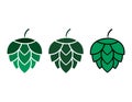 Set of Hop icon beer cone leaf sign,pub herb design, nature seed vector Royalty Free Stock Photo