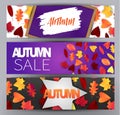 A set of horizontal autumn banners. Fall season design concept. Royalty Free Stock Photo