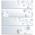 Set of horizontal banners with blossoming sakura