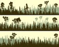 Set of horizontal banners of coniferous forest silhouettes.