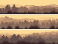 Horizontal banners of deciduous forest.