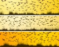 Set of horizontal banners with flock of birds at sunset.