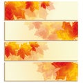 Set of horizontal banners with orange, red leaf maple Royalty Free Stock Photo