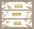 Set of horizontal banners with realistic cobs of sweet corn or corncobs hand drawn with contour lines on white