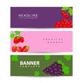 Set of horizontal banners with three berries and fruits vector illustration