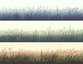Horizontal color banners of meadow with high grass. Royalty Free Stock Photo