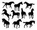 Horse Silhouettes Set Royalty Free Stock Photo