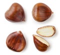Set of horse chestnuts on a white background, isolated. Top view Royalty Free Stock Photo