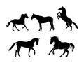 Set of Horse Silhouette Isolated on a white background - Vector Illustration Royalty Free Stock Photo