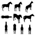 Set with horse silhouettes in different positions isolated on white background. Vector illustration Royalty Free Stock Photo