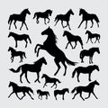 Horse silhouette. a set of horse silhouettes Royalty Free Stock Photo