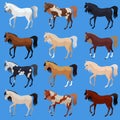 Set horses breed. Cute flat horse. Vector illustration.