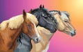 Set of horses breeds 9 Royalty Free Stock Photo