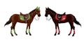 Set of horses of different suits in different ammunition for jumping - saddle, cap, bridle, halter, wagtrap, stamping. Riderless.