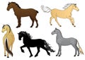 Set of horses - illustration