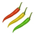 Set of Hot chili pepper of Red, Yellow and Green colors, isolated on white background. Vector eps 10 illustration