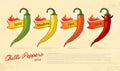 Set of hot chili peppers, with space for text. Red, orange, yellow and green chili peppers. Royalty Free Stock Photo