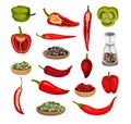 Set of hot and sweet pepper. Green and red jalapeno, chili, paprika peppers and seeds. Fresh and dried spicy vegetables