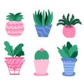 Set with house plant, flowers in pot, foliage plants in cartoon style, in bright colors. Hand drawn vector. Different types of Royalty Free Stock Photo