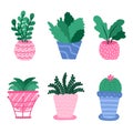 Set with house plant, flowers in pot, foliage plants in cartoon style, in bright colors. Hand drawn vector. Different types of Royalty Free Stock Photo