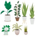 Set house plant. Vector illustration design. Isolated flat vector illustration. Flat illustration with green set house Royalty Free Stock Photo