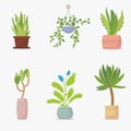 Set of house plants Royalty Free Stock Photo