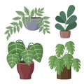 Set of house plants on a white background