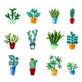 Set houseplants cartoon vector illustration Botany collection