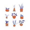 Set houseplants flat hand-drawn. Flower pots. Vector