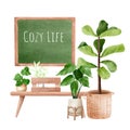 set of houseplants with blackboard decoration shop vector illustration