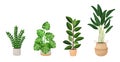 Set of houseplants - monstera, ficus, ravenala palm, rubber plant, pipal, zamioculcas. Vector illustration isolated on