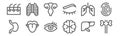 Set of 12 human body icons. outline thin line icons such as kidneys, brain, tongue, lungs, uterus, ribs