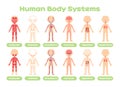 Set of Human Body Systems. Template. Muscular Skeletal Circulatory Nervous Digestive and Respiratory. Front Back view. Lesson Royalty Free Stock Photo