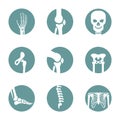 Set of Human bone orthopedic Logo Concept Vector. Bone x-ray image of human joints. Anatomy skeleton flat design Template Royalty Free Stock Photo