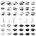 Set of human eyes, noses and lips Royalty Free Stock Photo
