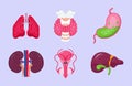 Set of human internal organs vector. Lungs, liver, thyroid are isolated on white background. Royalty Free Stock Photo