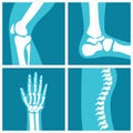 Set of human joints.