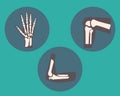 Set of human knee, elbow and ankle joints and wrist, emblem or sign of medical diagnostic center or clinic, flat design,