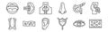 Set of 12 human organ icons. outline thin line icons such as blood, bladder, cells, pancreas, thyroid, spleen