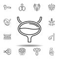 set of human organs bladder outline icon. Signs and symbols can be used for web, logo, mobile app, UI, UX