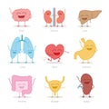 Set of 9 human organs in cartoon style: brain, kidneys, liver, lungs, heart, stomach, intestine, bladder and spleen.