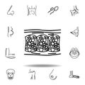 set of human organs cellulite outline icon. Signs and symbols can be used for web, logo, mobile app, UI, UX