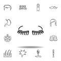 set of human organs eyelashes outline icon. Signs and symbols can be used for web, logo, mobile app, UI, UX