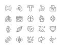 Set of Human Organs Line Icons. Spleen, Stomach, Lungs, Brain, Heart and more.