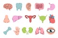 Set of human organs symbol. Brain, tooth, ear, intestines, stomach, nose, liver, reproductive system, heart, bone, hand Royalty Free Stock Photo