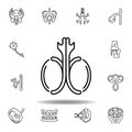 set of human organs testicles outline icon. Signs and symbols can be used for web, logo, mobile app, UI, UX