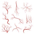 Set of human veins or vessel, red capillaries, arteries, eye vein. Blood system icon